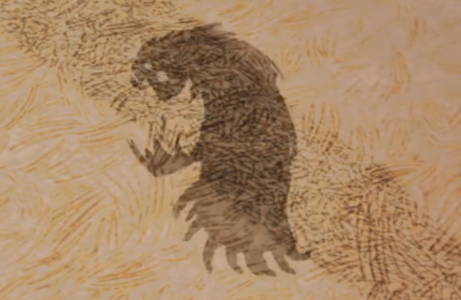 饥荒联机版暗影生物是什么