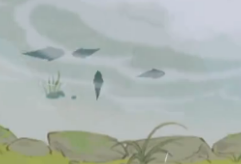 仙山小农怎么钓鱼