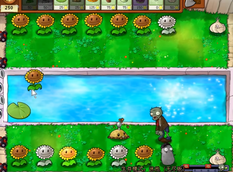 植物大战僵尸无尽技巧是什么