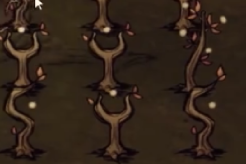 饥荒联机版盛夏鸦年华能兑换哪些奖励