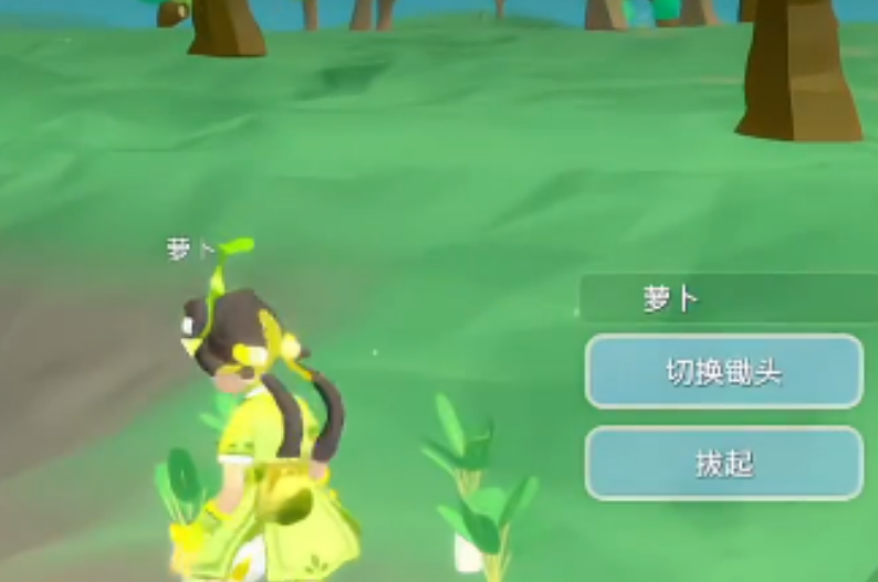 无径之林食用食物提升体质要注意什么