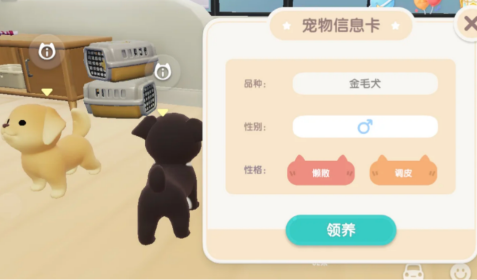 心动小镇如何养小狗