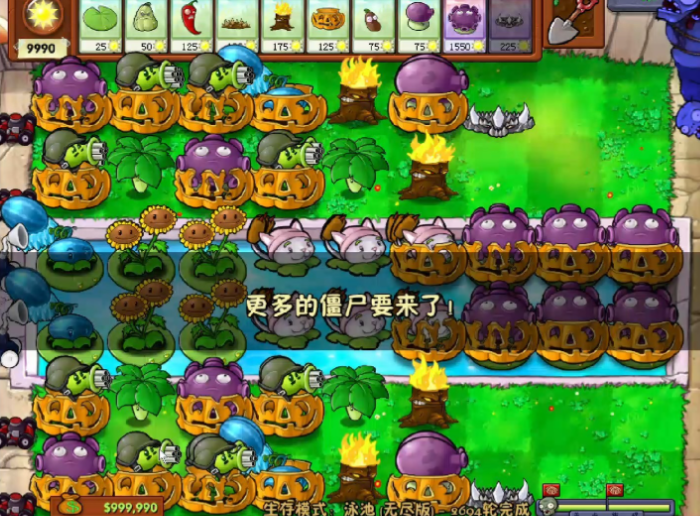 植物大战僵尸泳池无限怎么过关