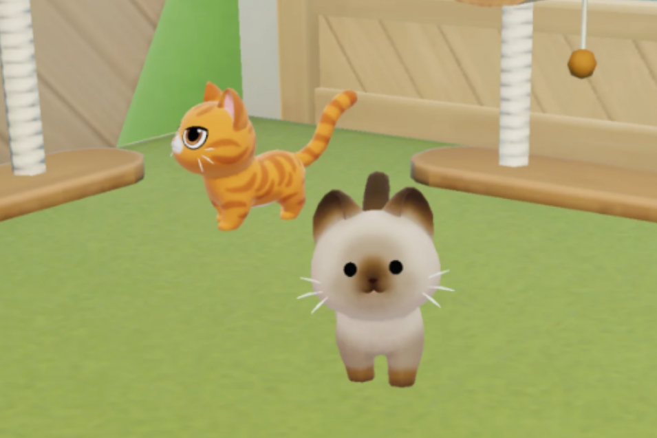 心动小镇怎么养猫 心动小镇怎么养猫
