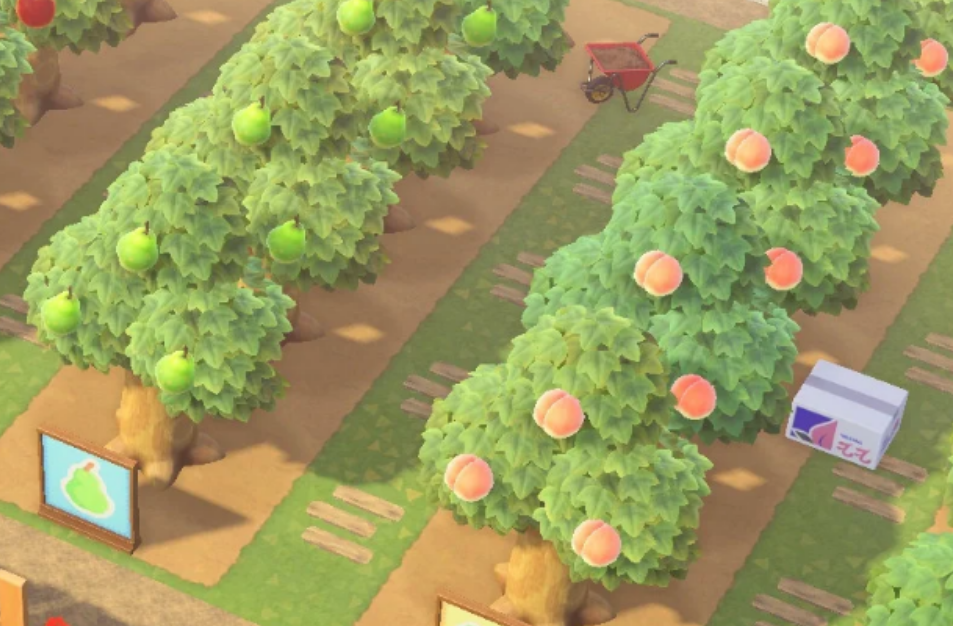 动物森友会如何种植农作物和水果