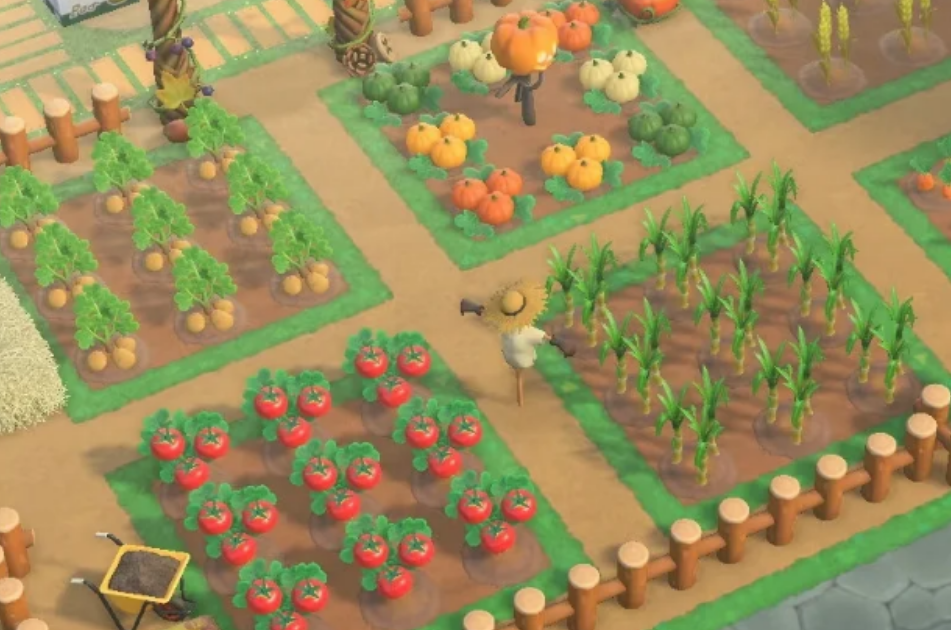 动物森友会如何种植农作物和水果