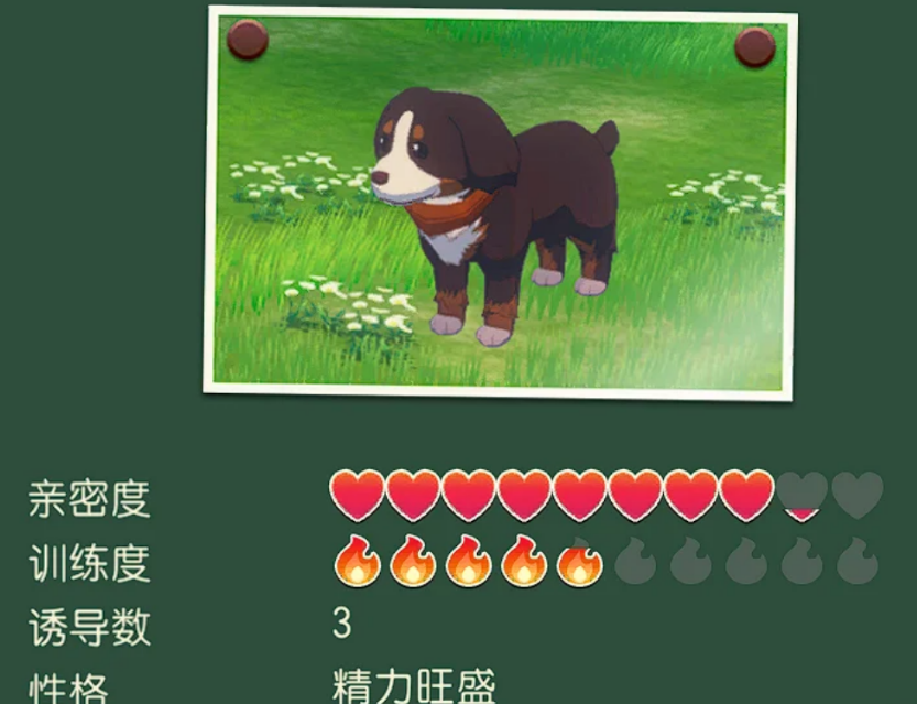 牧场物语风之繁华集市冬季节日有哪些