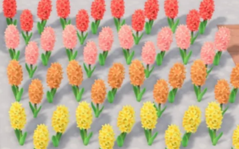 动物森友会种植花卉要注意什么