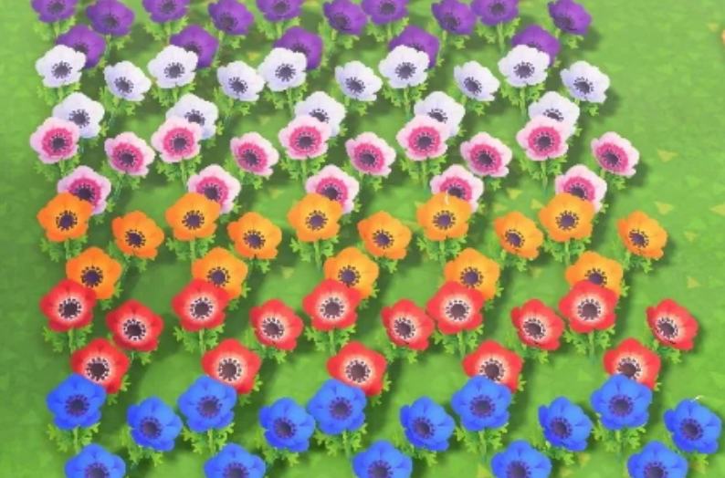 动物森友会种植花卉要注意什么