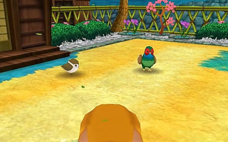 牧场物语三个村庄的珍贵朋友野生动物是什么