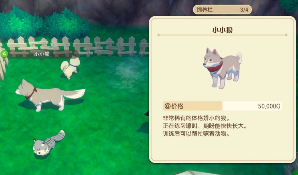 牧场物语风之繁华集市宠物和马有什么用