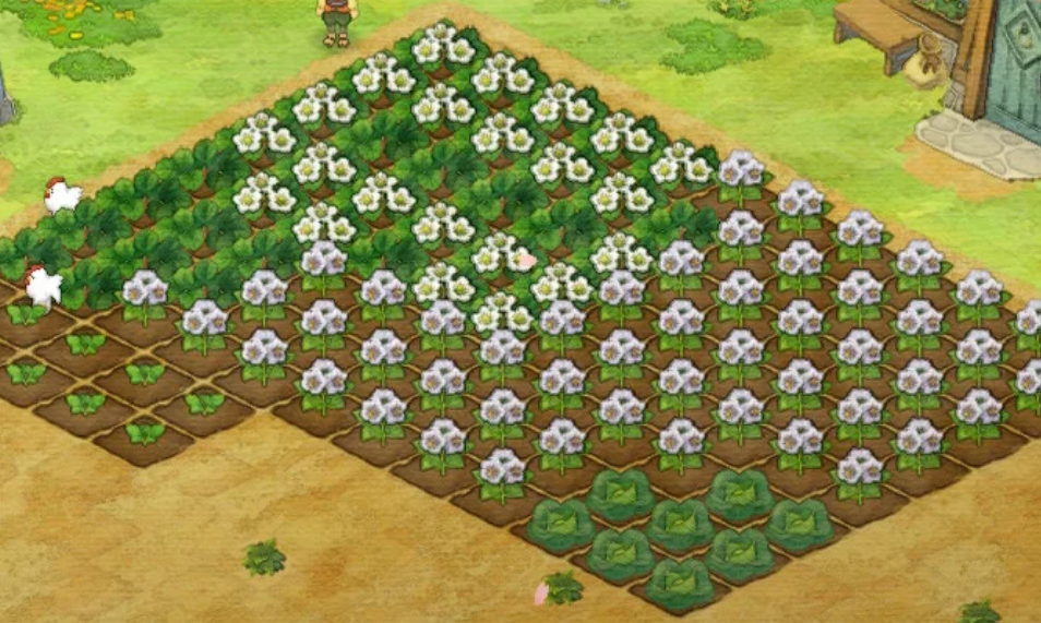 哆啦A梦牧场物语种植要注意什么