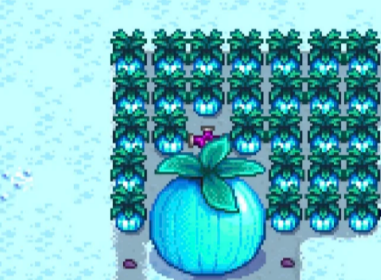 星露谷物语巨大作物有什么用处