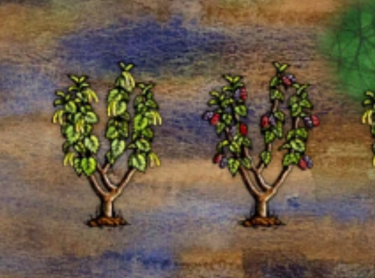 希望之村怎么织纺线