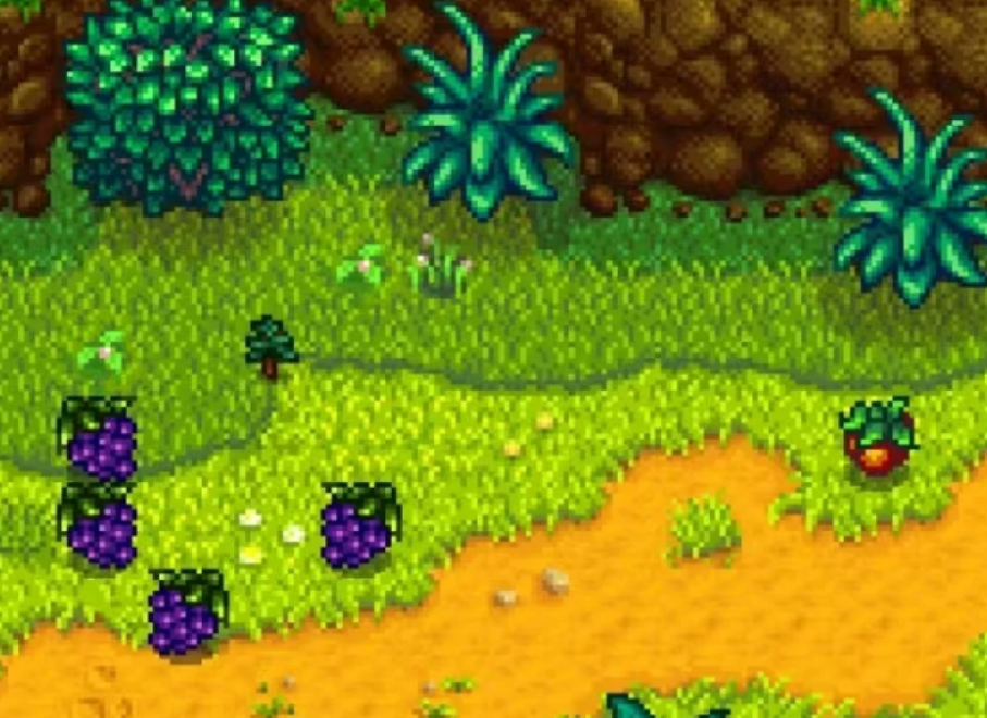 星露谷物语采集技能如何升级