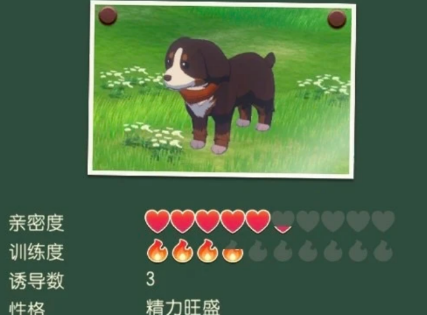 牧场物语风之繁华集市养宠物有什么用