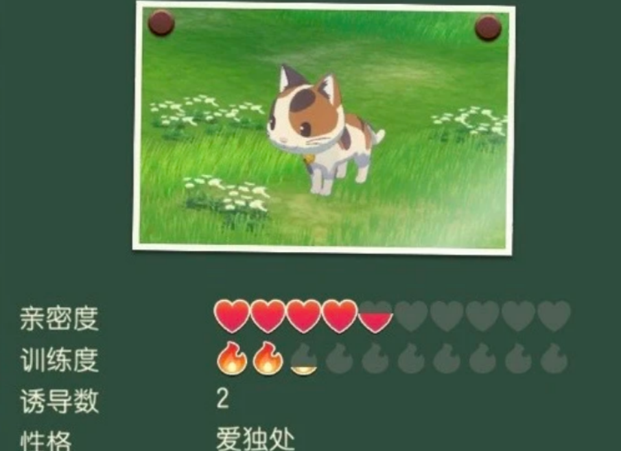 牧场物语风之繁华集市养宠物有什么用