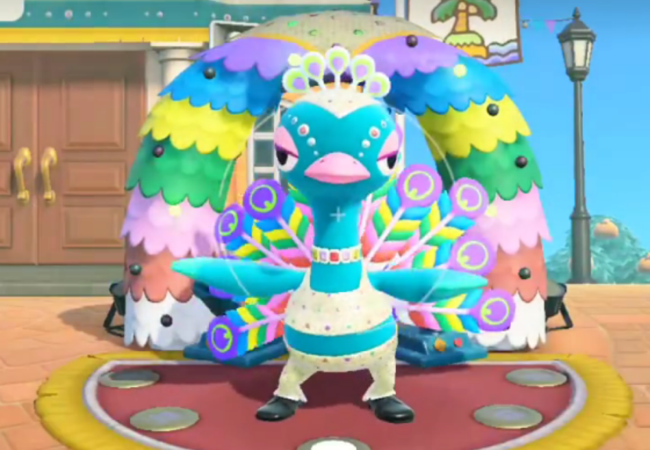 动物森友会狂欢节怎么参加