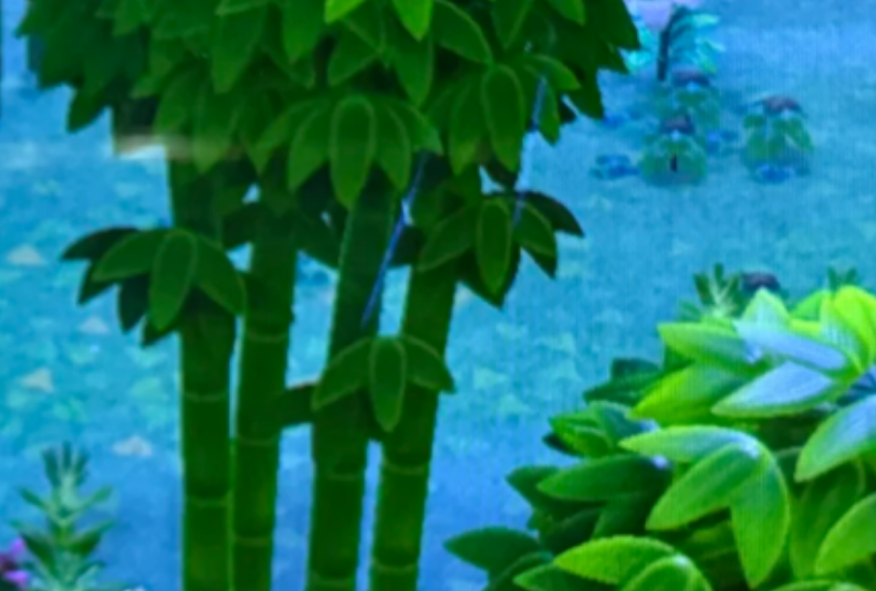 动物森友会春笋季怎么获得竹笋