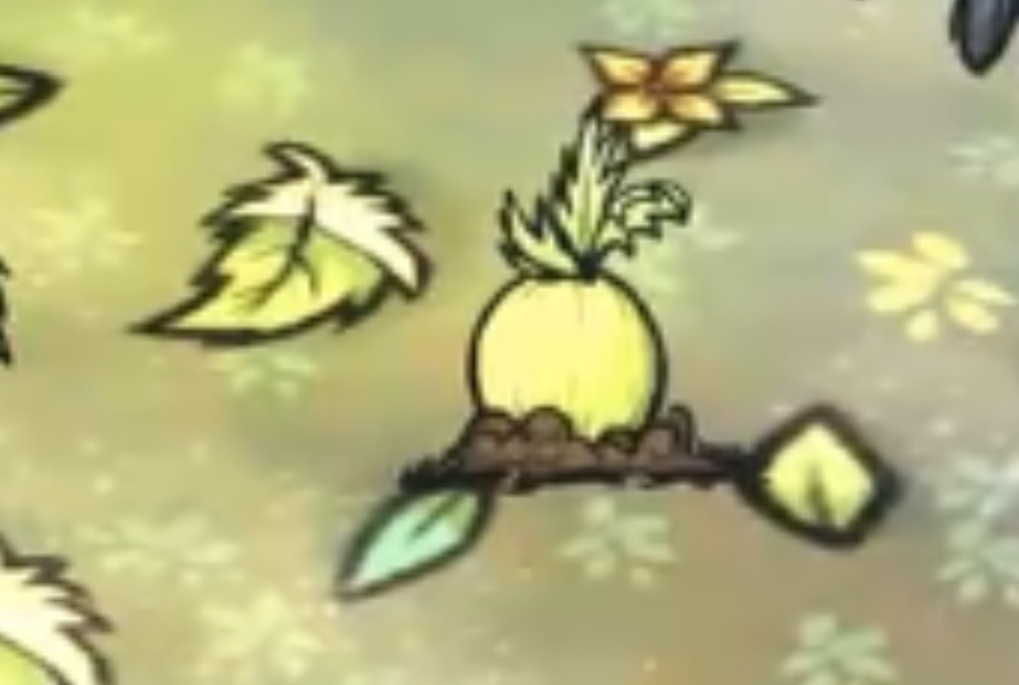 饥荒联机版万物书清甜椰子树有哪些特点
