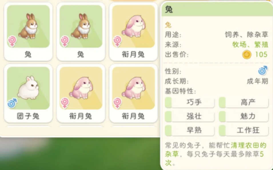星砂岛动物有哪些绿色词条