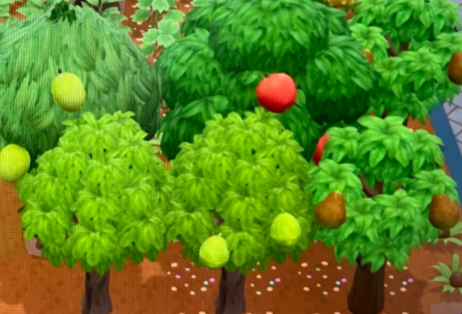 珊瑚岛怎么种植果树 珊瑚岛怎么种植果树