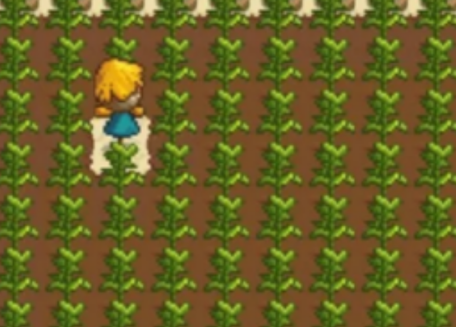 奶牛镇的小时光种植农作物要注意什么 奶牛镇的小时光种植农作物要注意什么