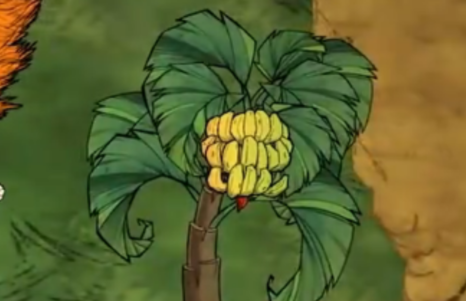 饥荒联机版山海秘藏有什么植物 饥荒联机版山海秘藏有什么植物