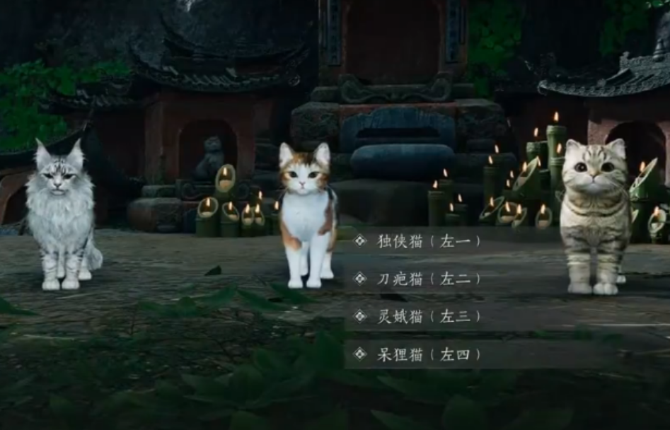 燕云十六声伙伴玩法是什么