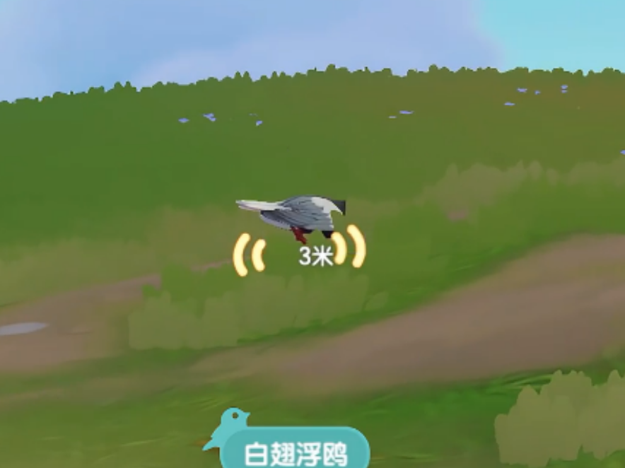 心动小镇寻鲸季限定鸟有哪些 心动小镇寻鲸季限定鸟有哪些