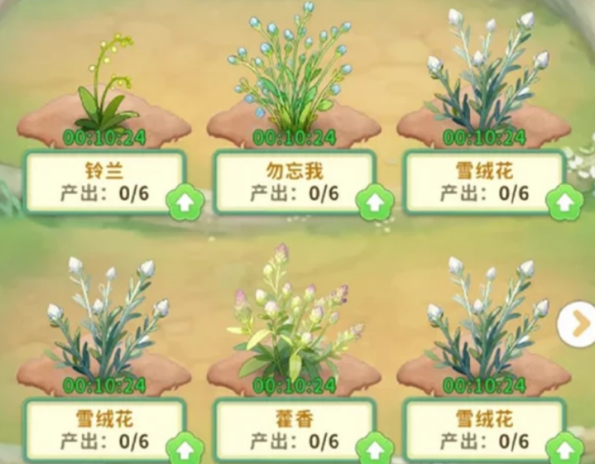 织梦森林商会鲜花种植是什么