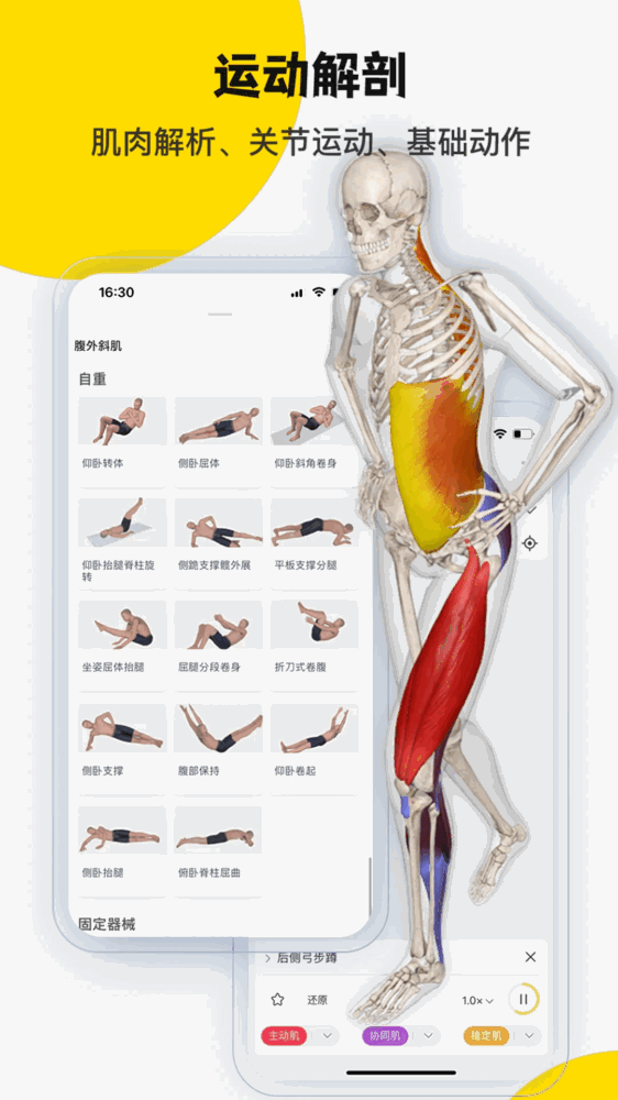 3dbody解剖截图1