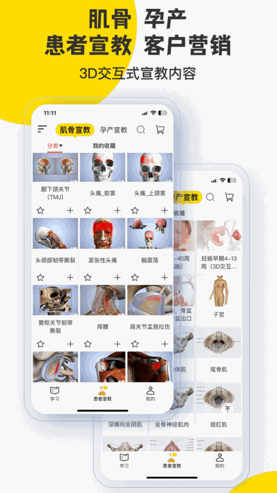 3dbody解剖截图2
