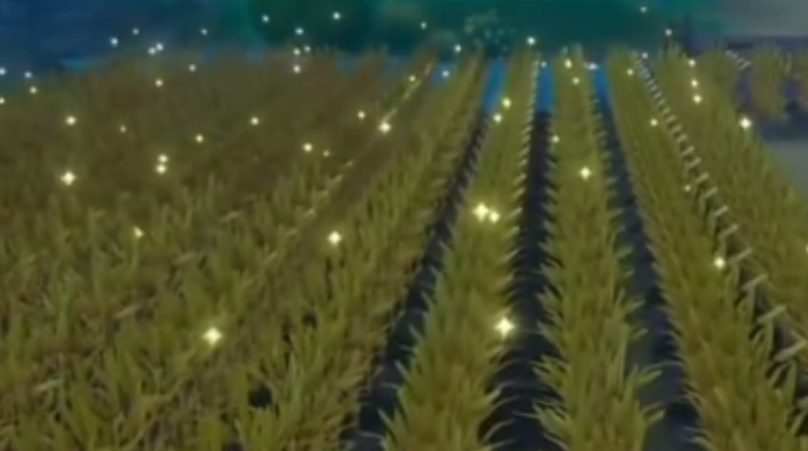 星砂岛怎么成为专家种植师 星砂岛怎么成为专家种植师